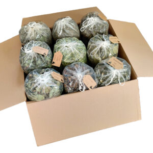 Schlemmerpaket Kräuterliebhaber