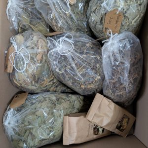 Langohrglück-Paket